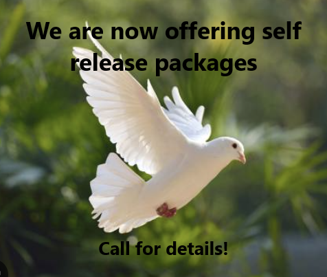White dove in flight, text 