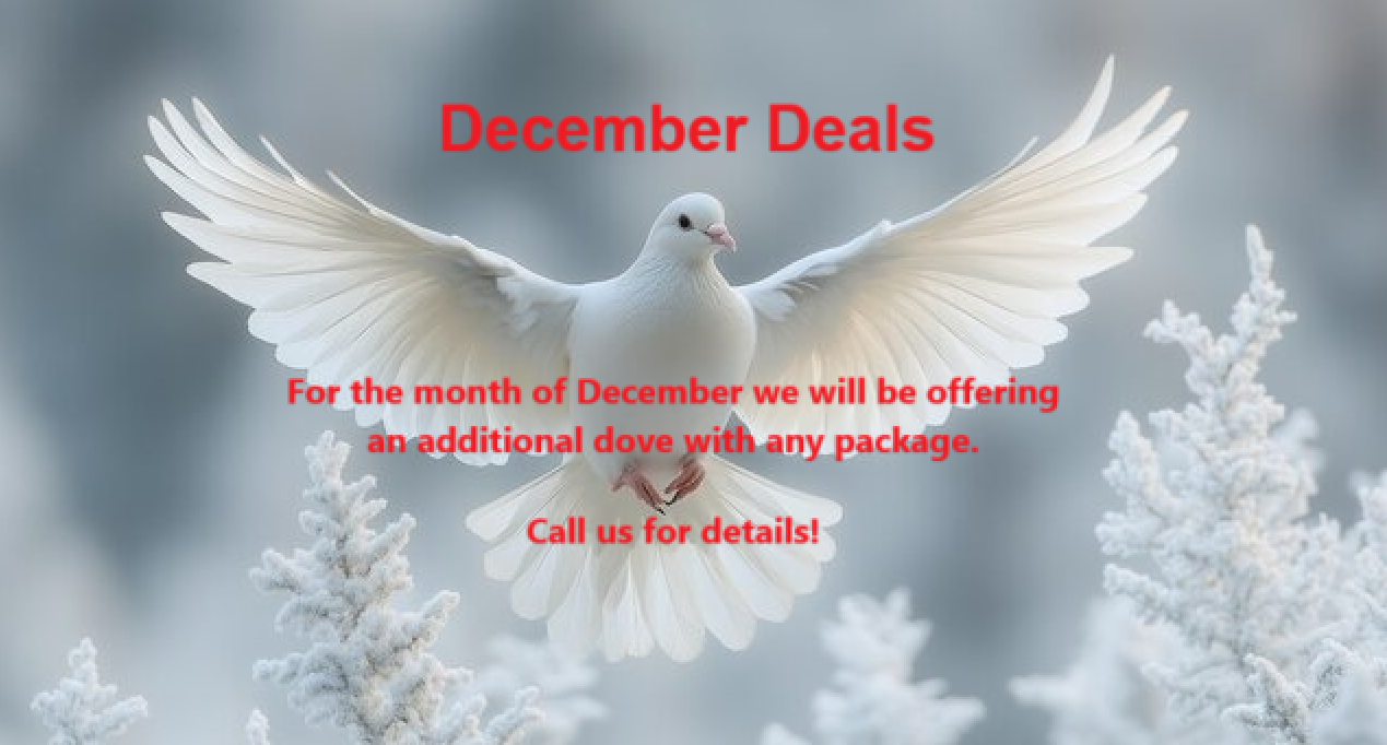 December Deals