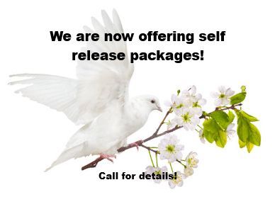 A white dove is sitting on a branch with flowers.