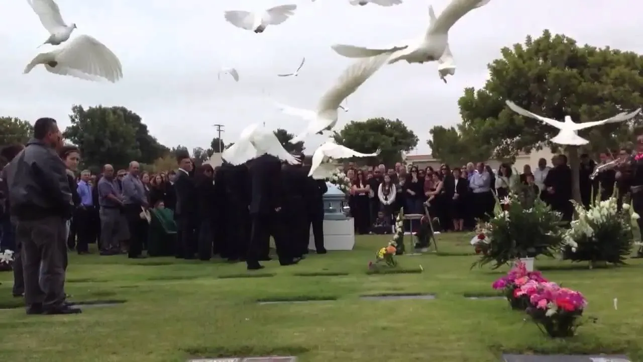 memorial and funeral dove release photo