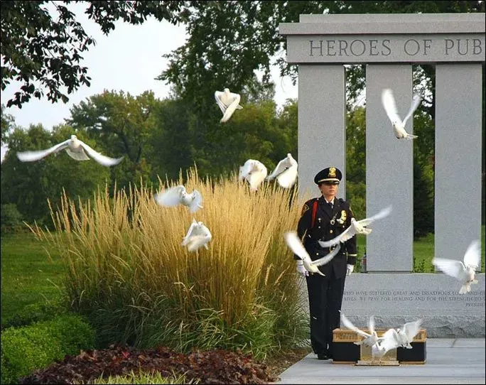 memorial dove release