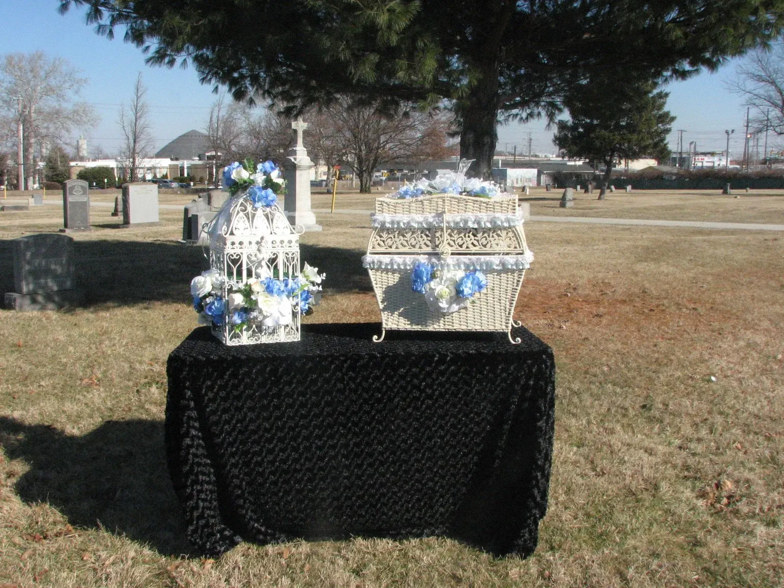 memorial and funeral dove release photo