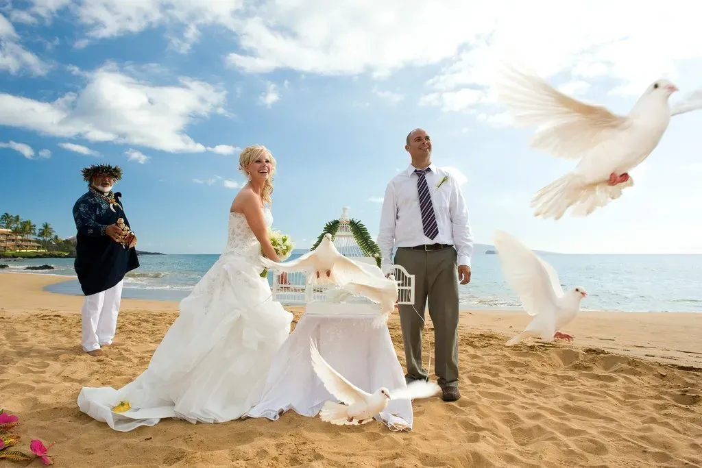 dove release on wedding photo