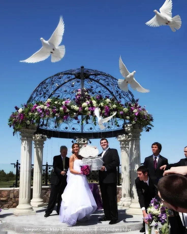 dove release on wedding photo