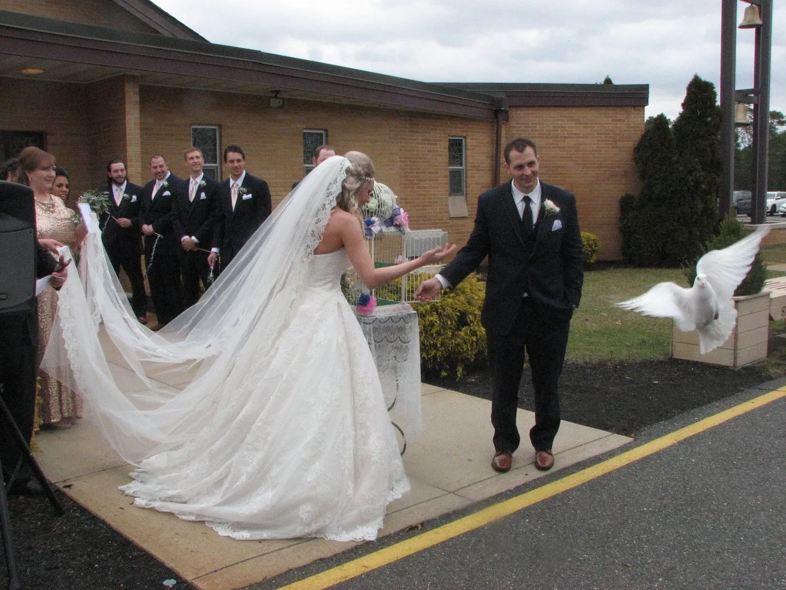 dove release on wedding photo