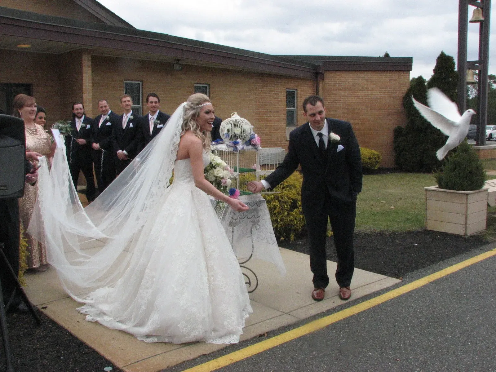 dove release on wedding photo