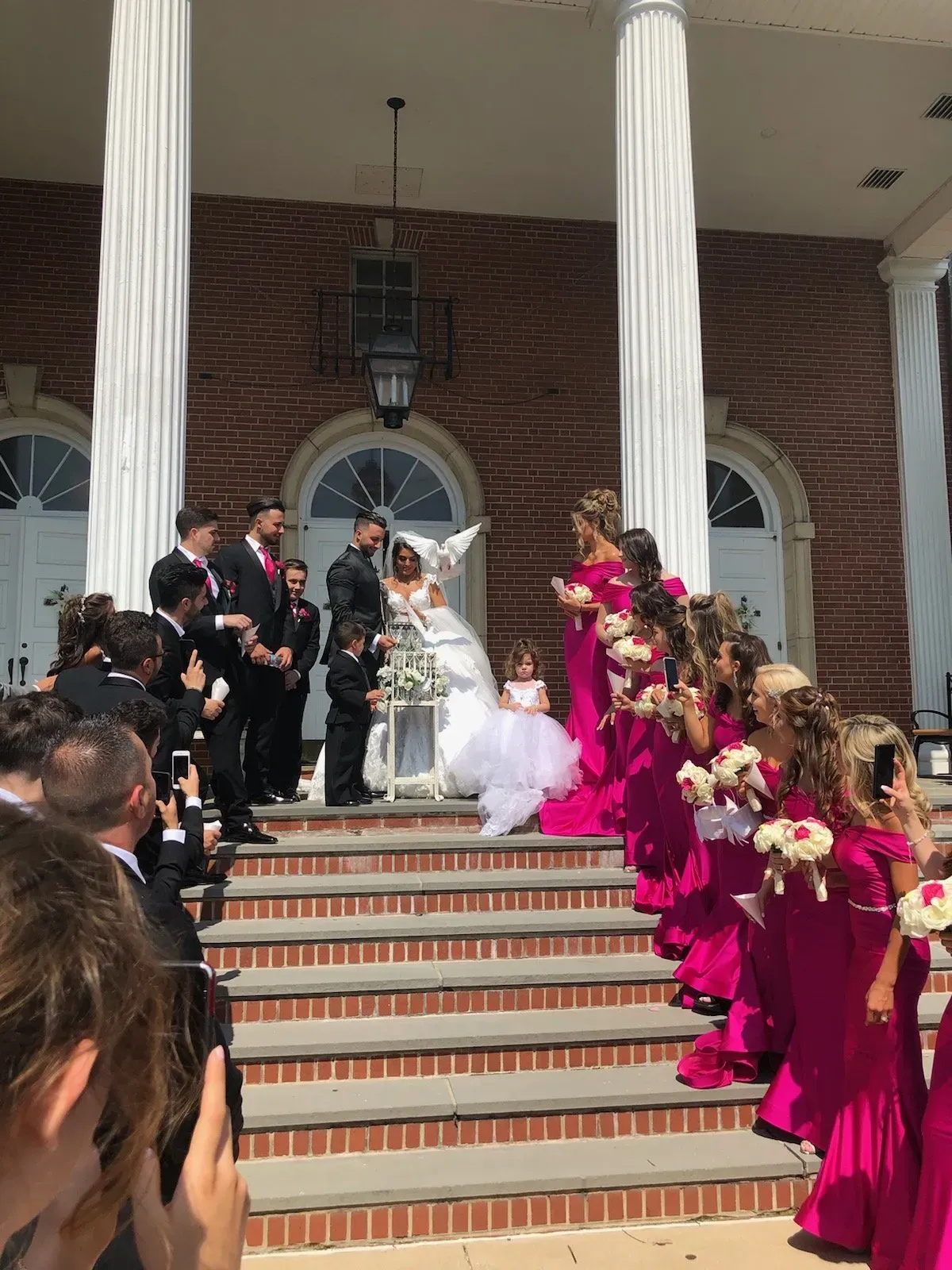 dove release on wedding photo
