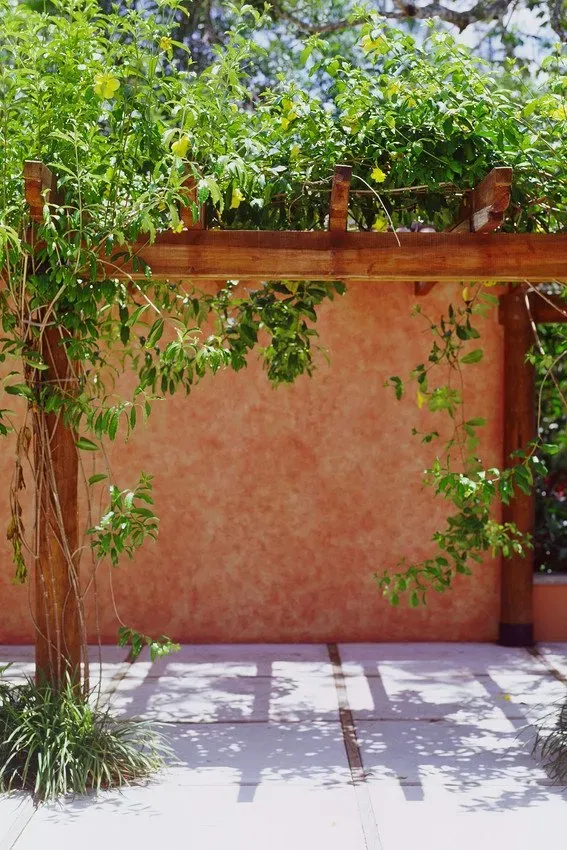 White Dove Events rental photo