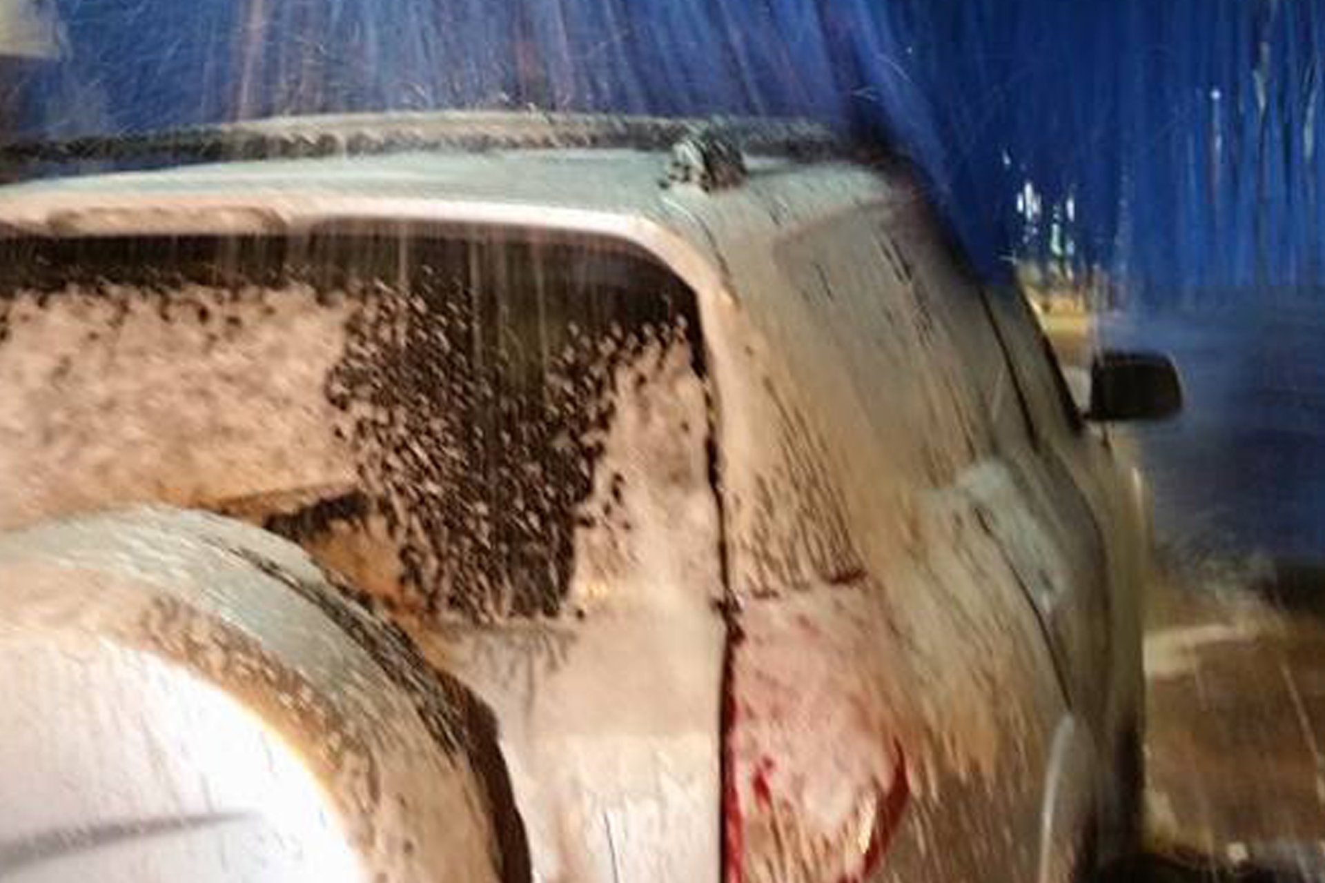 SUV in a car wash, covered in white soap, blue backdrop.