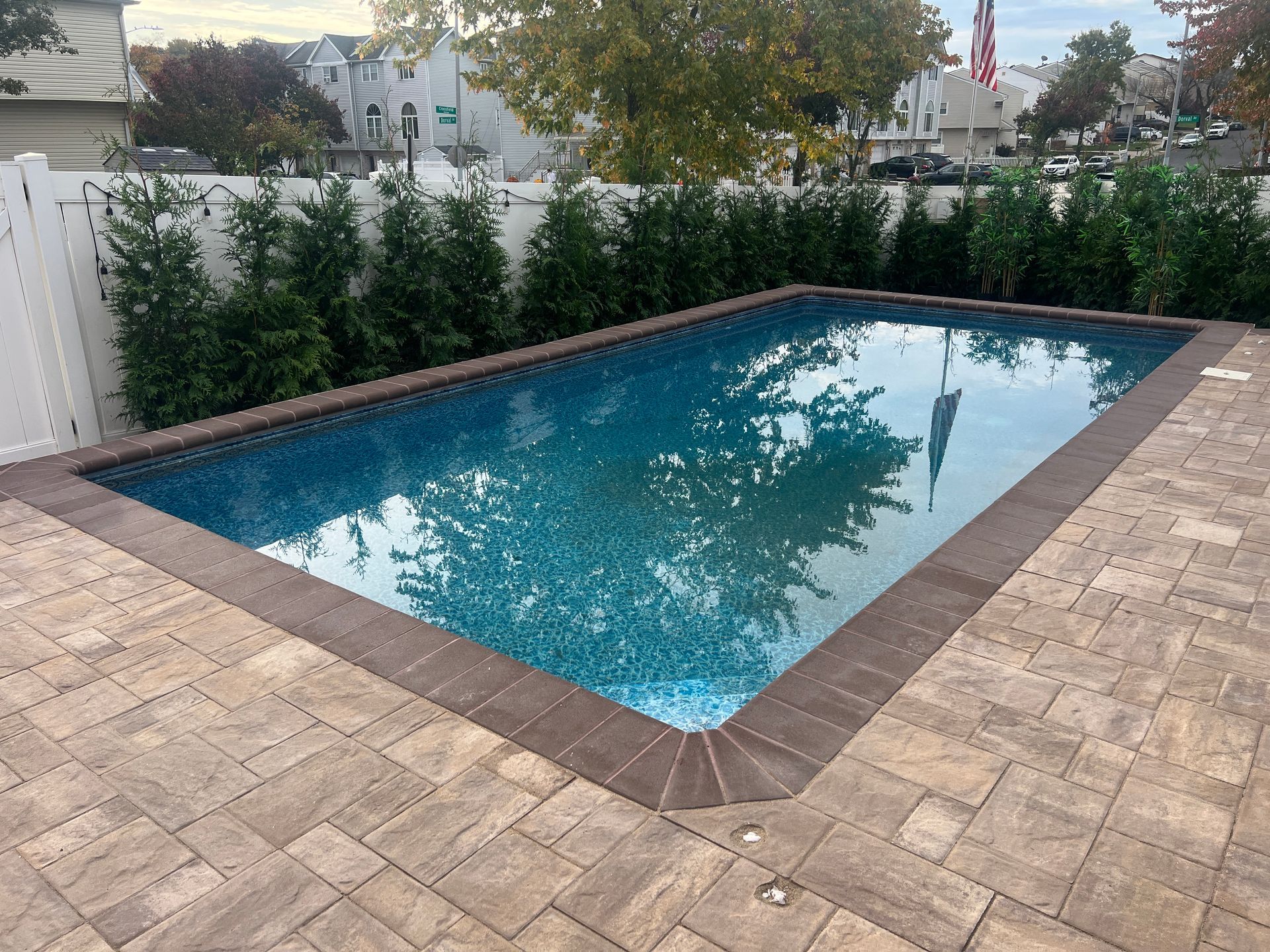 Rectangular backyard swimming pool with blue water, surrounded by tan pavers and tall shrubs.