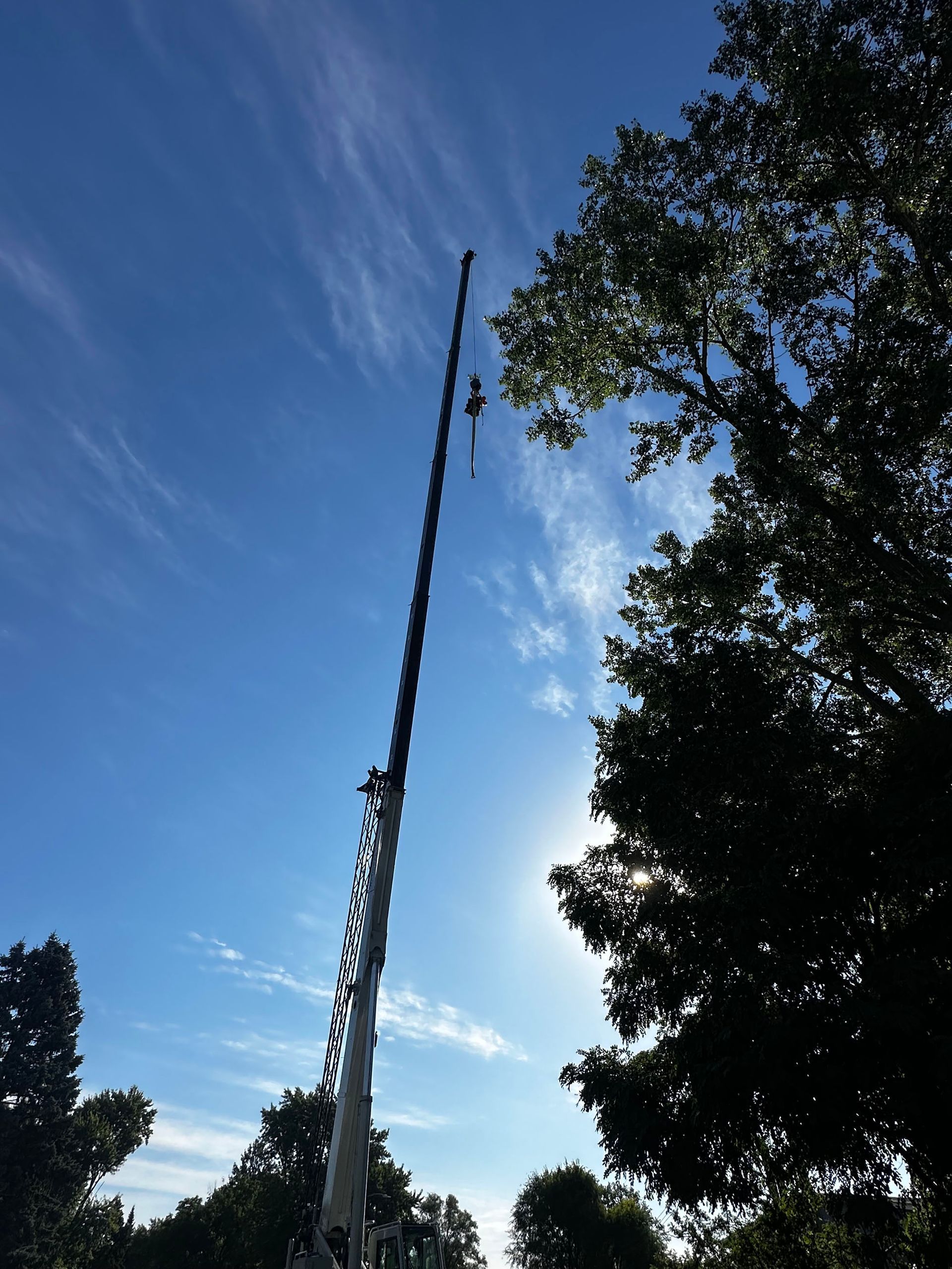 Tall pole with stacked white and black sections reaching into a blue sky beside trees