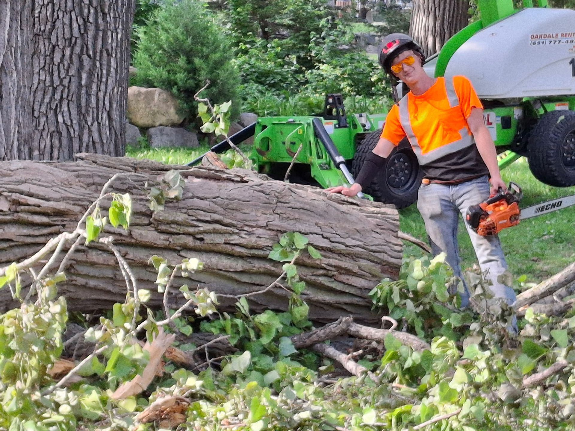 Worker in orange safety gear stands by a chainsaw near a fallen tree in a wooded yard.