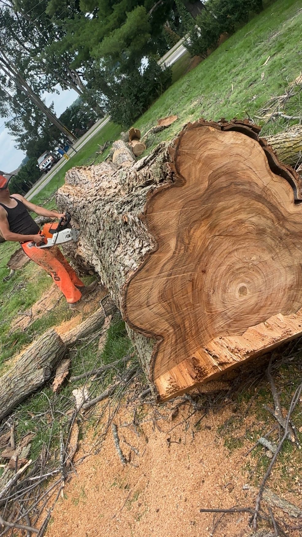 Worker in orange safety gear beside a huge uprooted tree trunk in a grassy park.