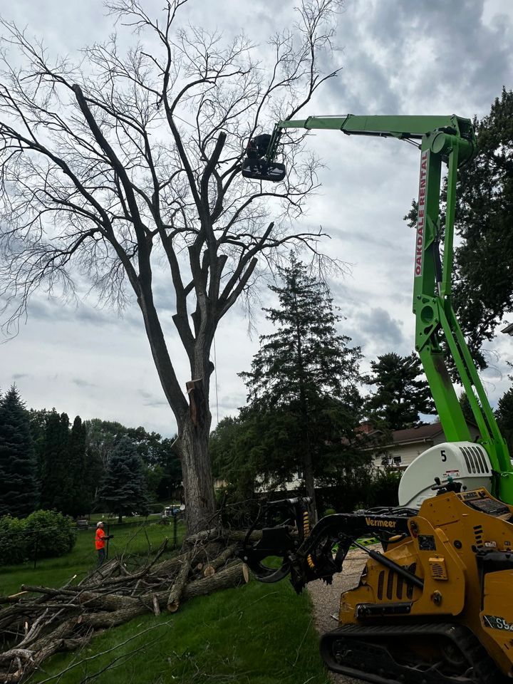 Tree removal crew using a crane to cut a large dead tree in a grassy yard