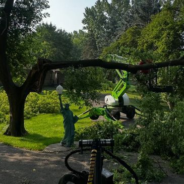 Tree service worker in neon green lift trimming branches in a sunny yard
