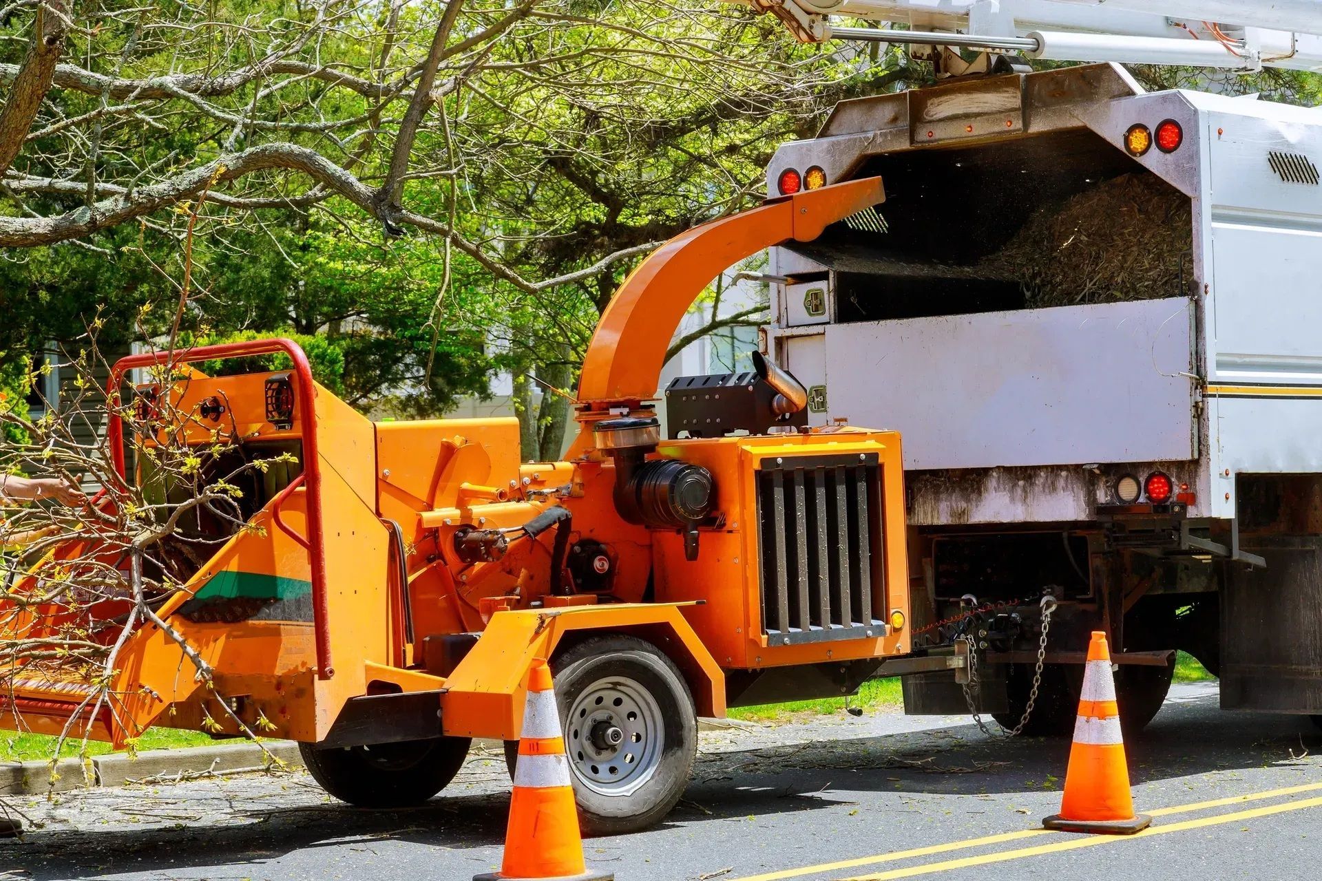 Orange wood chipper and truck parked on a tree-lined street with traffic cones nearby