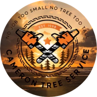 Cameron Tree Service - logo