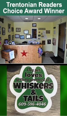Pet Grooming - Hamilton, NJ - Whiskers & Tails