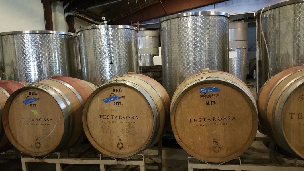 Rows of wooden wine barrels in a cellar, with large stainless steel tanks behind them.