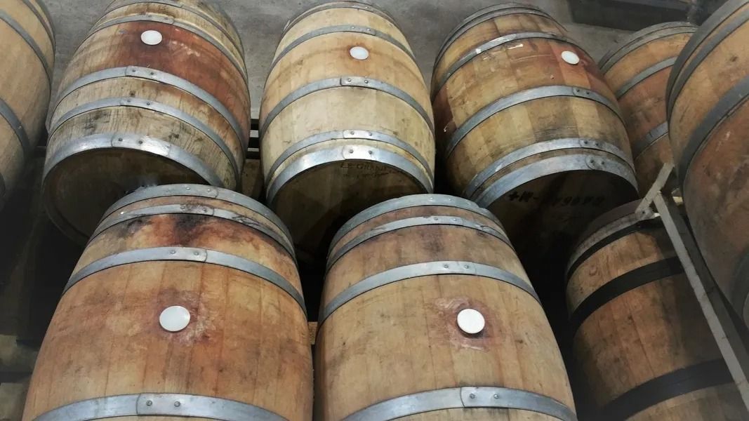 Stacked wooden barrels in varying shades of brown, viewed from above.