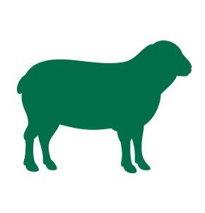 Sheep icon