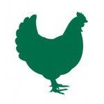 Poultry icon