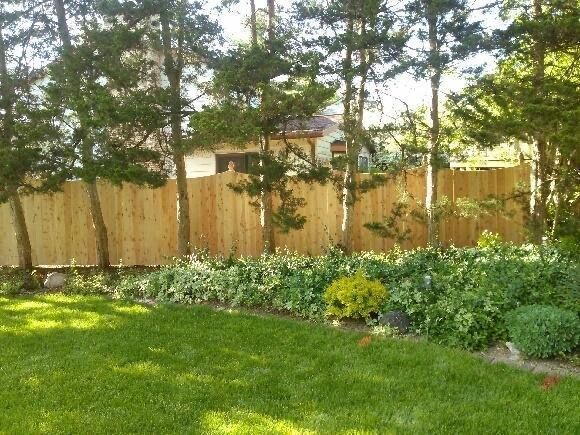 Lush green lawn with a wooden fence and various plants. A house is visible in the background.