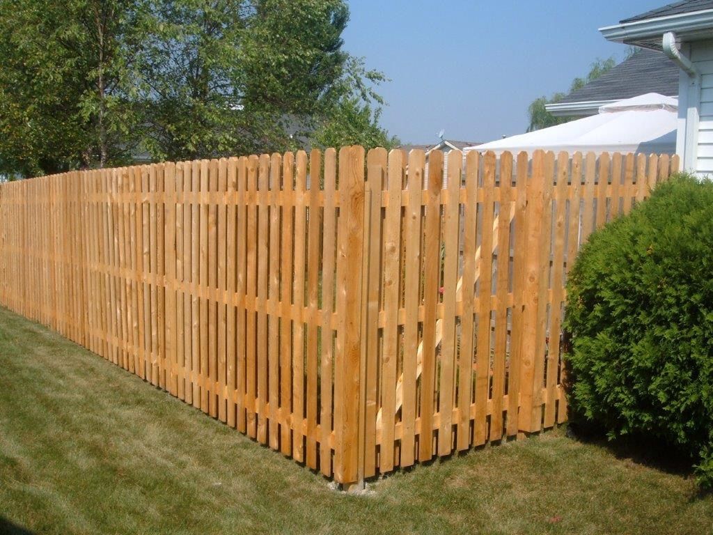 Wooden fence in a backyard, corner view, surrounding green grass and a small bush.