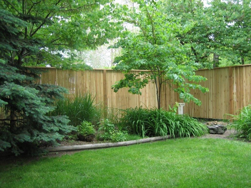 Lush green backyard with a wooden fence, various plants, and a small tree in the center.