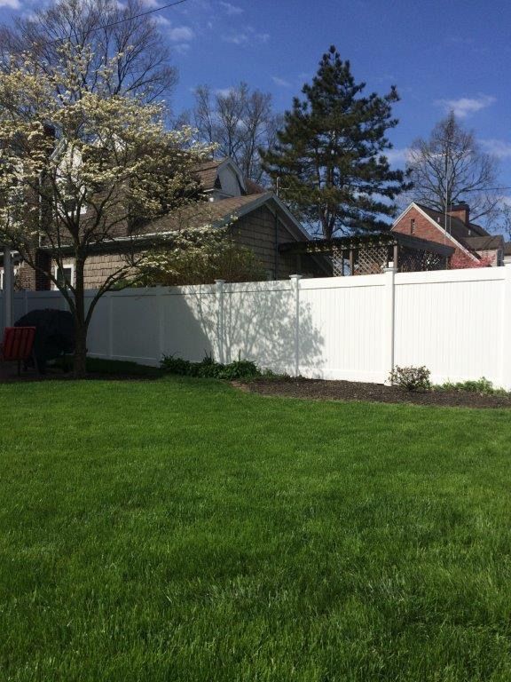 White fence encloses a green lawn with a flowering tree and a house on a sunny day.