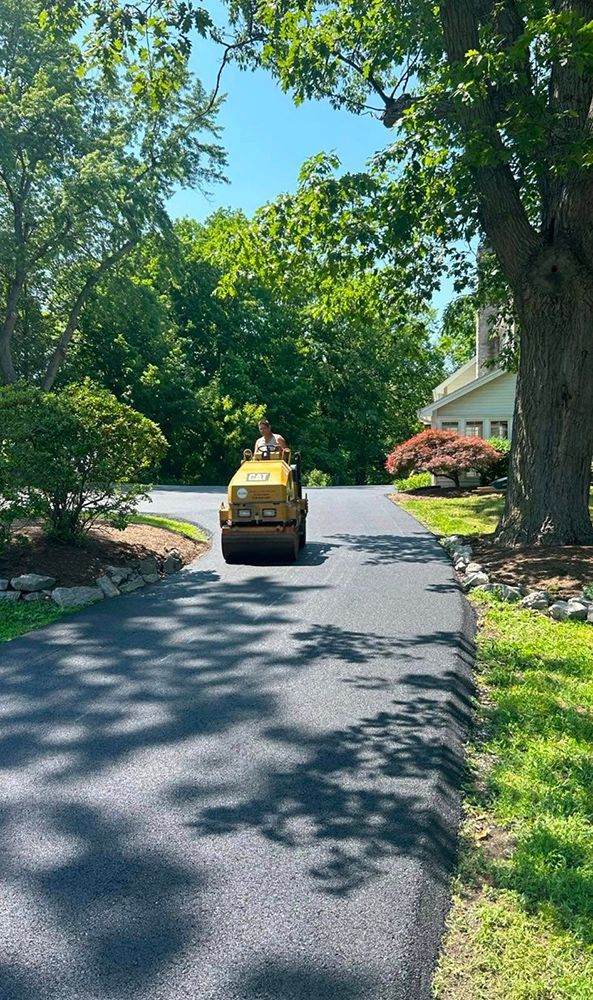 Asphalt roller compacting a road, blue sky, surrounded by trees.