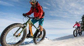 Mountain Bikes