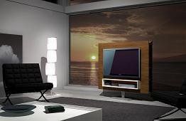 Entertainment centers