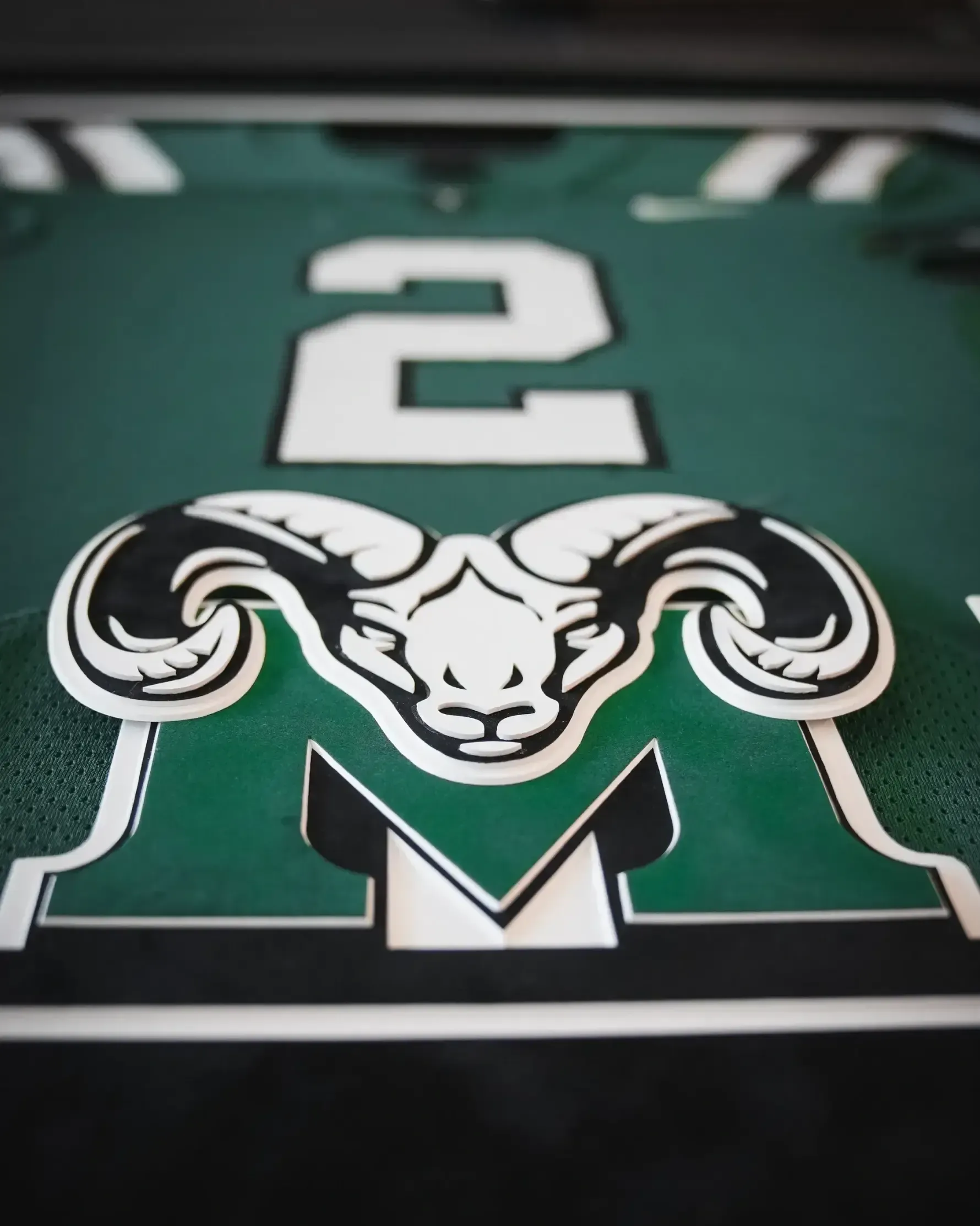 Green jersey with a white ram logo and the number 2 on a football field background