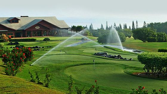 Golf course sprinklers