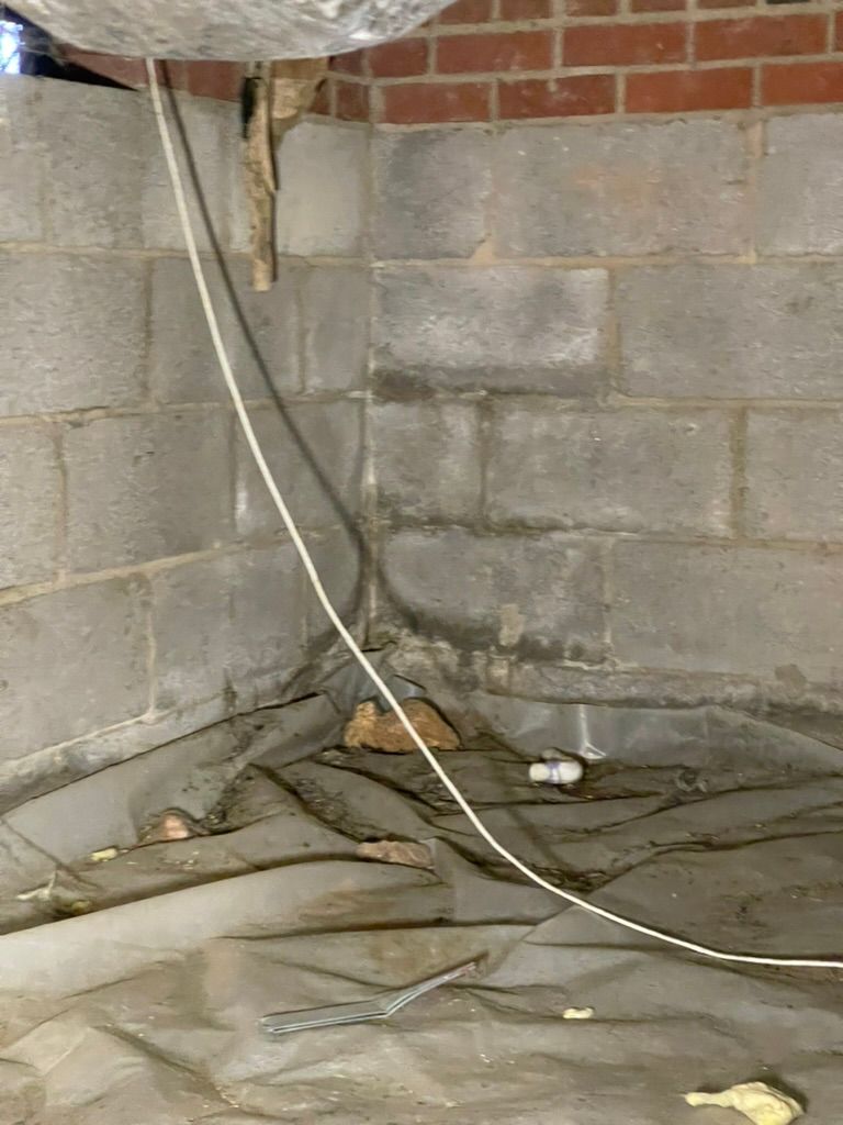 A brick wall in a basement with a lot of wires coming out of it.