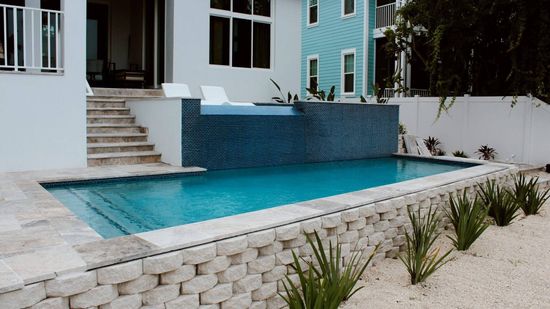 Trees and a patio surround a large swimming pool.