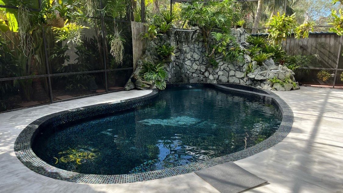 A small swimming pool surrounded by trees and bushes in a backyard.