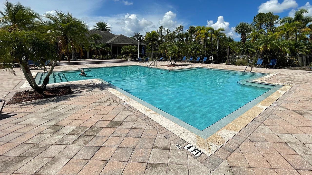 A large swimming pool is surrounded by trees and a brick patio.