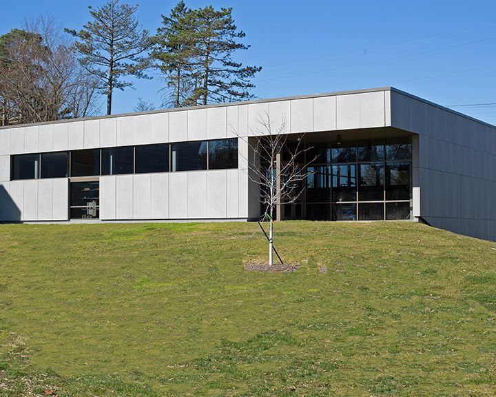 A large building with a lot of windows and a tree in front of it
