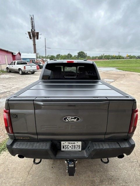 Rear view of a gray Ford pickup truck parked on a roadside under cloudy skies.
