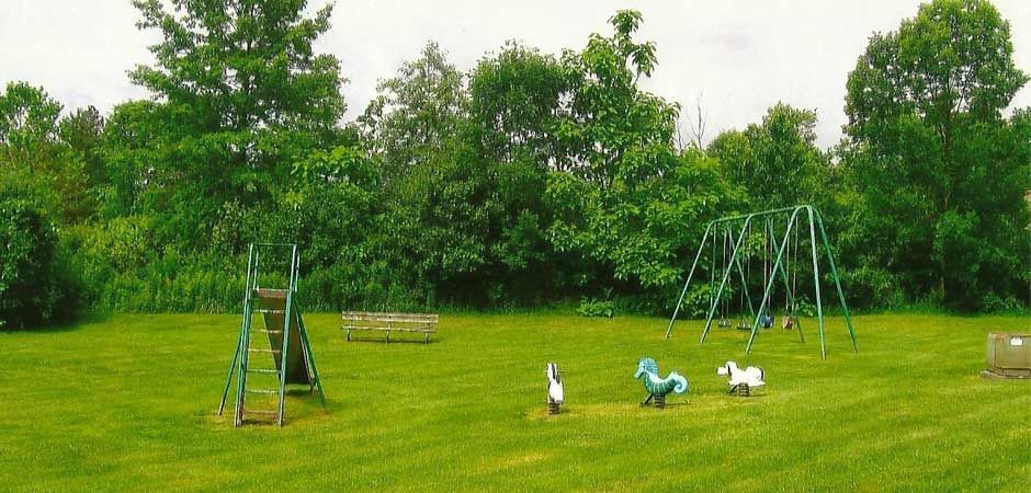 A playground with swings and rocking horses in the grass