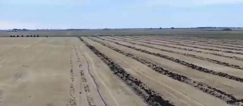 An aerial view of a field with rows of plants growing in it.