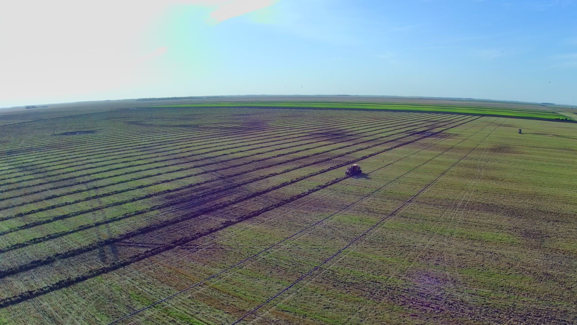 An aerial view of a lush green field with a rainbow in the sky.