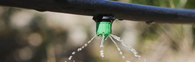 Irrigation drip system