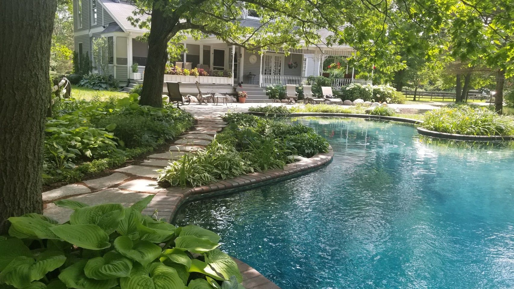 A clear blue swimming pool with a natural stone edge, surrounded by lush green garden plants and a path near a house.