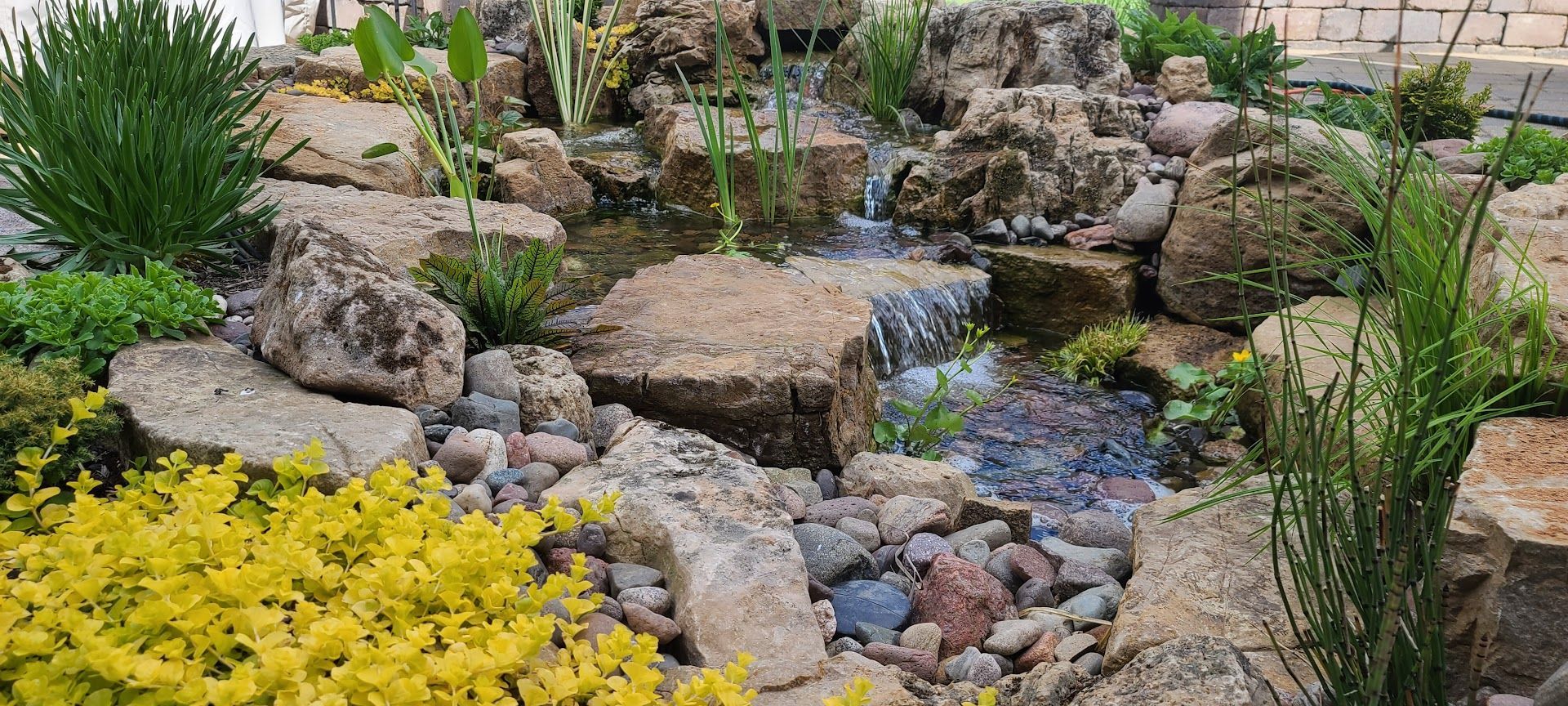 A small, multi-tiered rock waterfall flows into a stream surrounded by vibrant green, yellow, and various native plants.