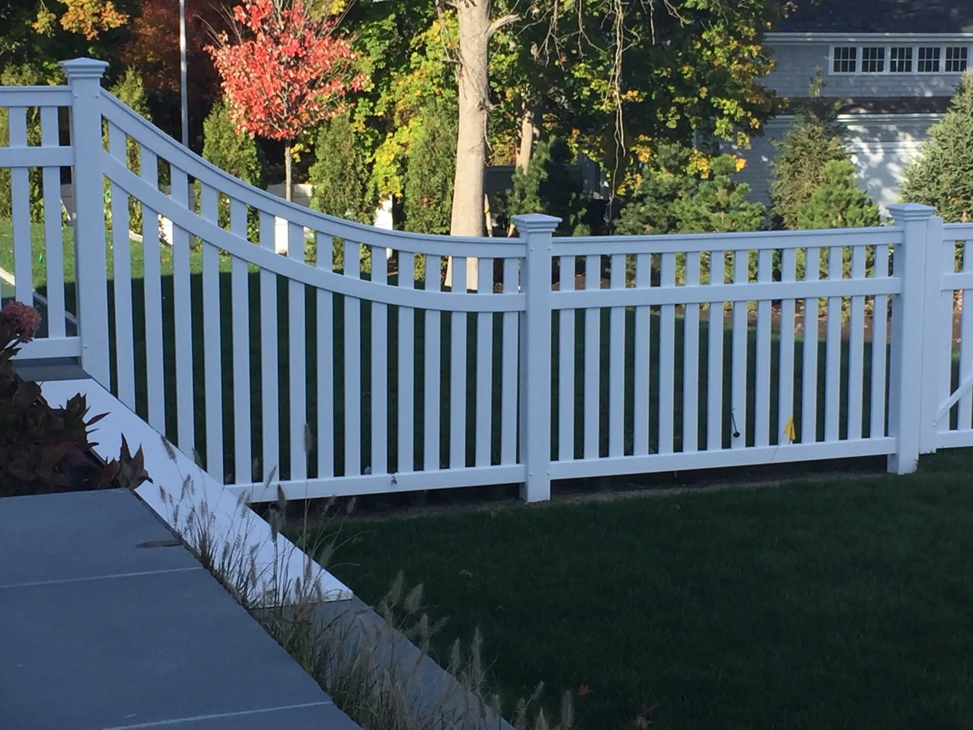 Vineyard photo gallery