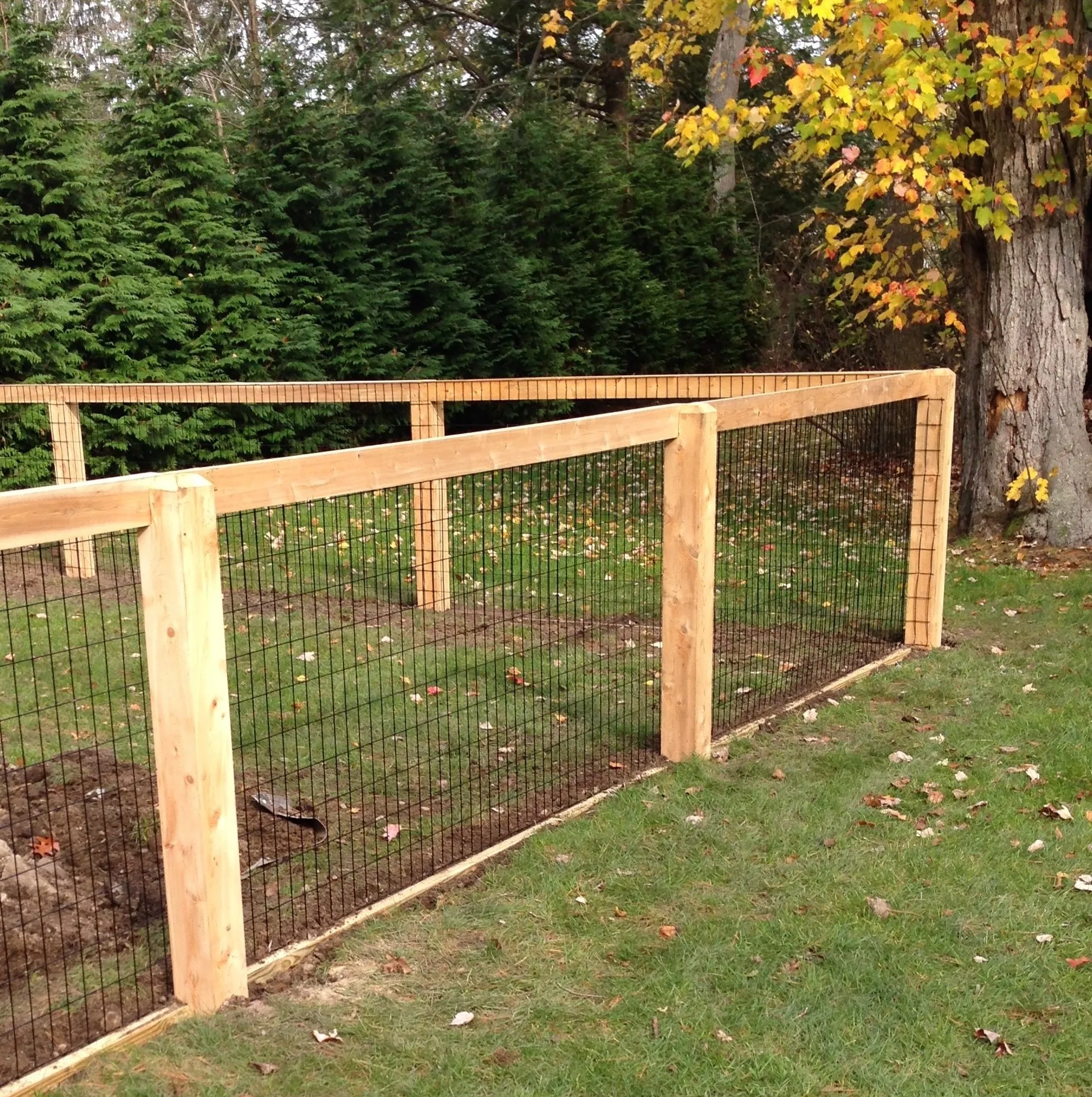 Wood Frame + Wire photo gallery