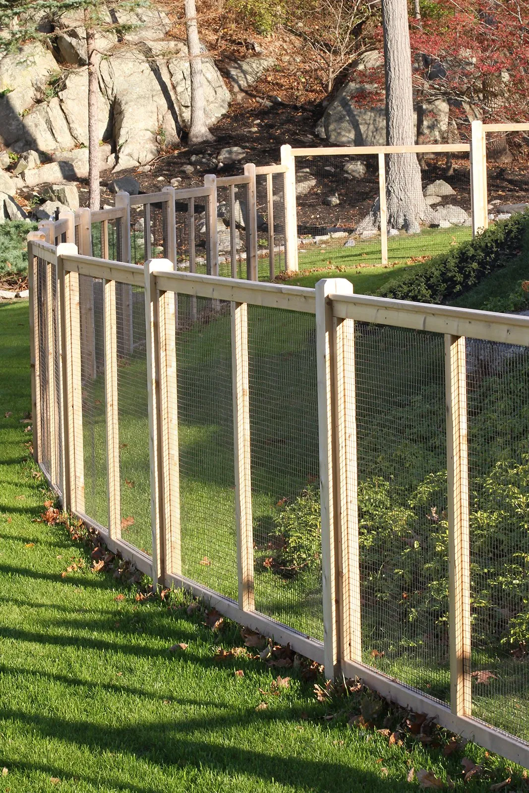 Wood Frame + Wire photo gallery